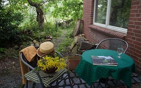 Gästewohnung im Naturgarten Nähe Steinhuder Meer